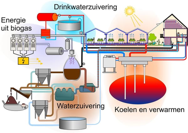 Zonneterp